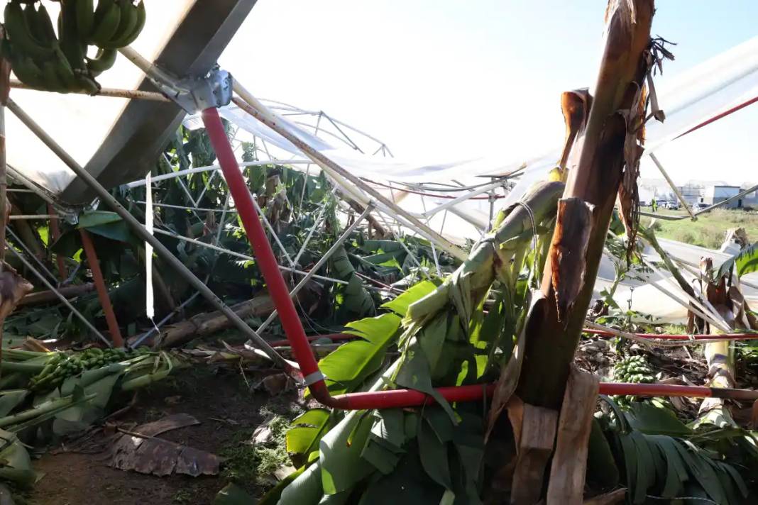 Antalya'da Hortumun Vurduğu Seralara Acil Destek 3